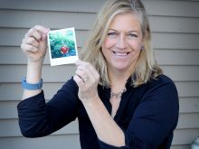 Katherine Mapother #2733682 picture (Landscape Medium)