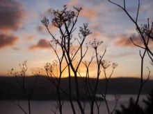 Katherine Wyeth #3595323 picture (Landscape Medium)