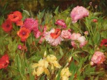 Kathy Anderson