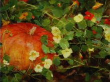 Kathy Anderson