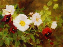 Kathy Anderson