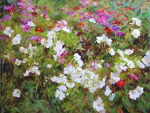 Kathy Anderson