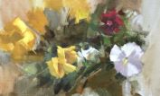 Kathy Anderson