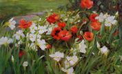 Kathy Anderson