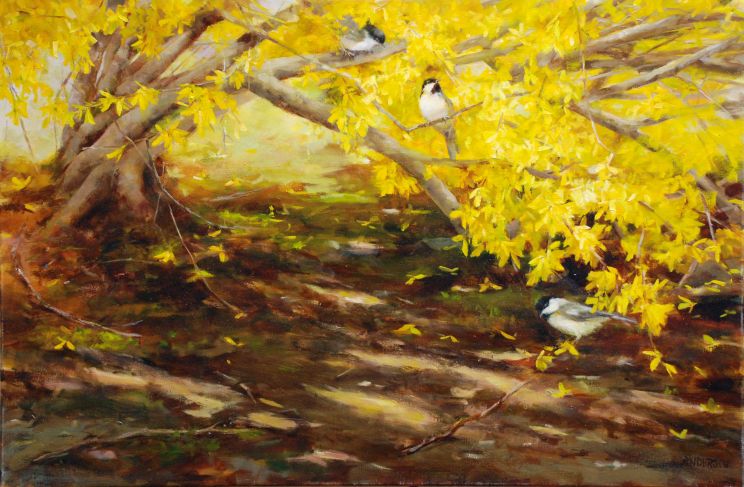 Kathy Anderson