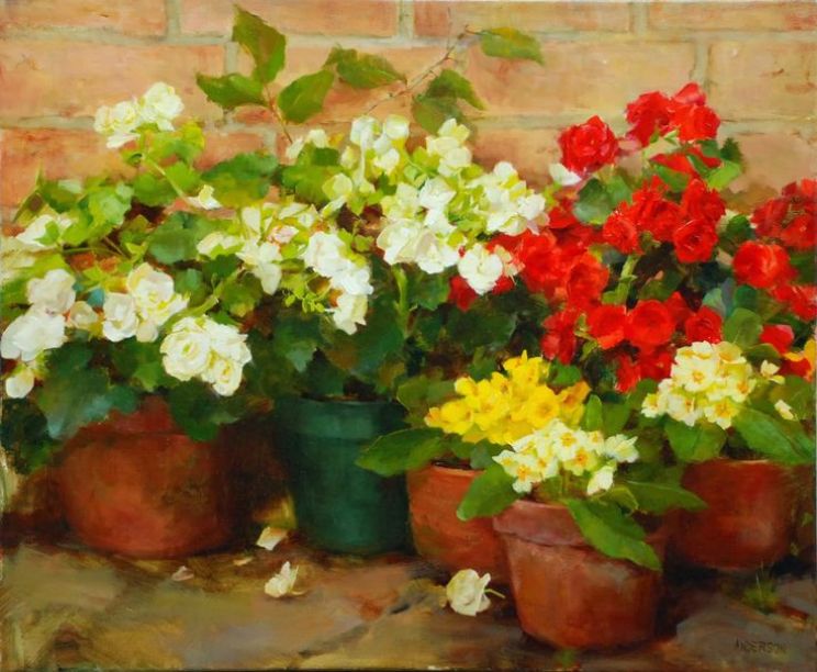 Kathy Anderson