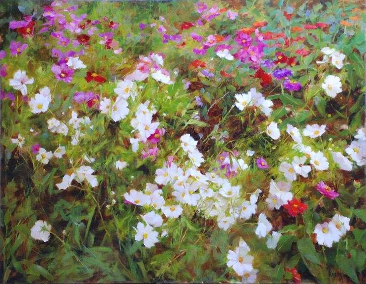 Kathy Anderson