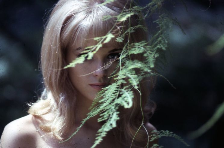 Kathy Kersh