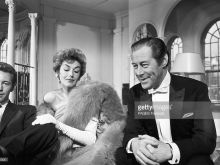 Kay Kendall photo
