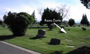 Keene Curtis