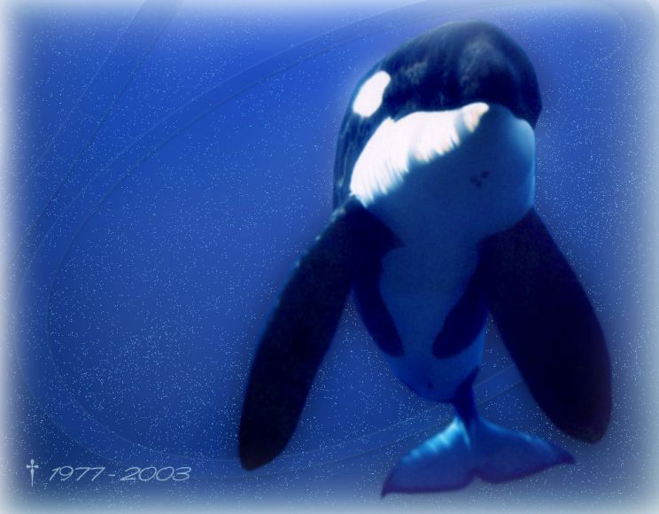 Keiko