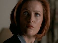 Kellie Waymire