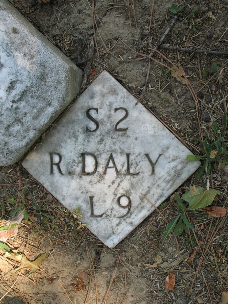 Kelly Daly