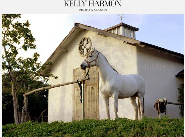 Kelly Harmon
