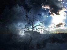 Kelly McCormack photo