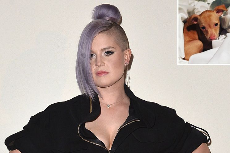 Kelly Osbourne