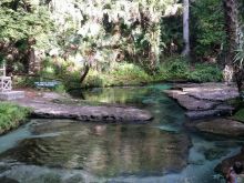 Kelly Park