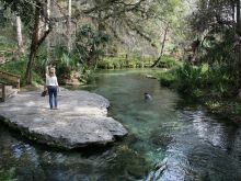 Kelly Park