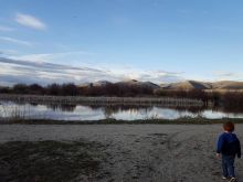 Kelly Park