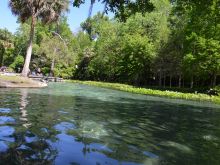 Kelly Park