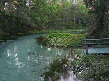 Kelly Park