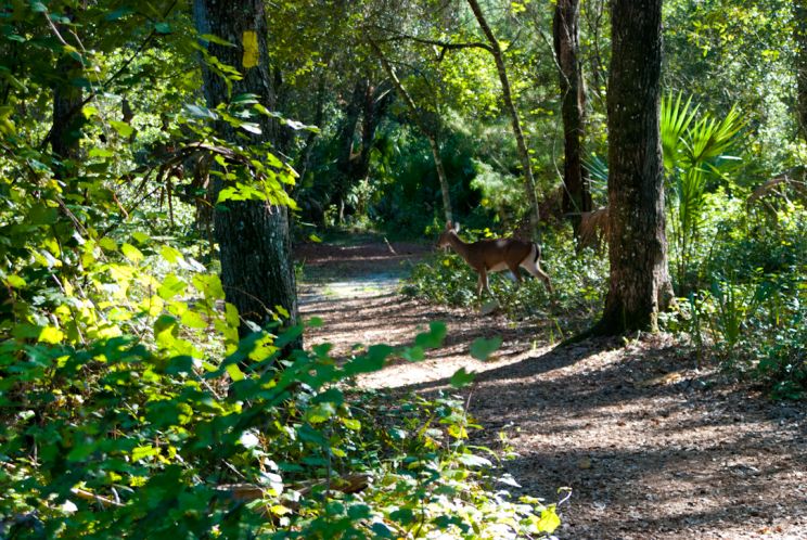 Kelly Park