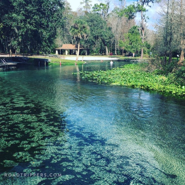 Kelly Park