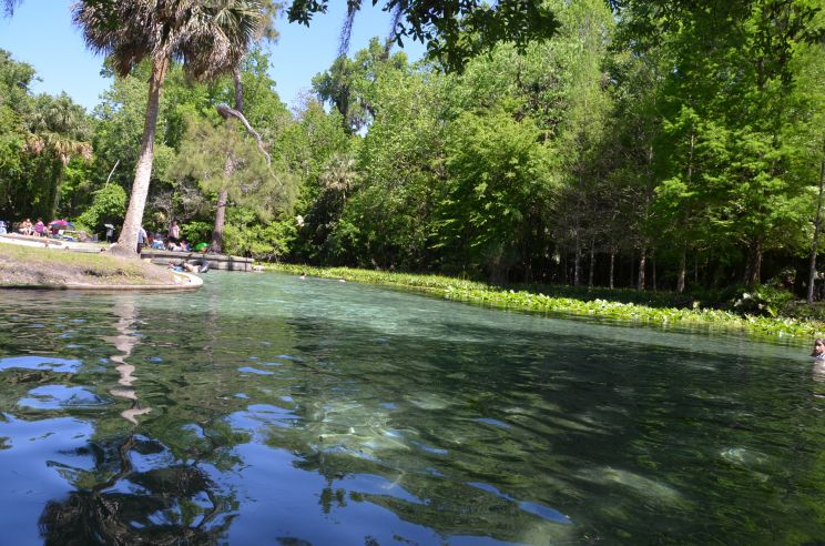 Kelly Park