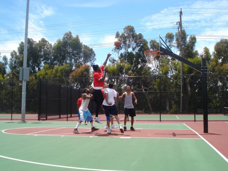 Kelly Park
