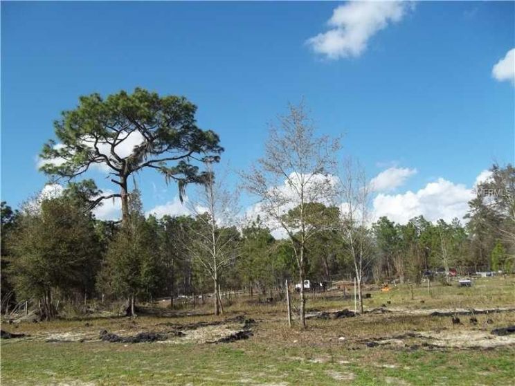 Kelly Park