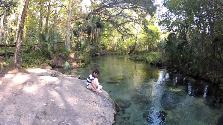 Kelly Park