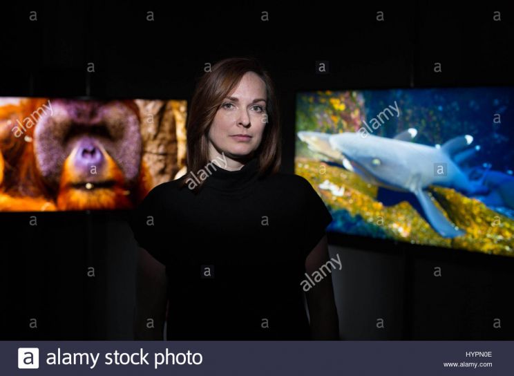 Kelly Richardson