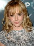 Kelly Stables