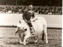 Ken Curtis photo