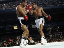 Ken Norton