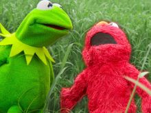 Kermit the Frog