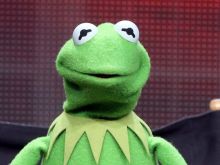 Kermit the Frog #3061784 picture (Landscape Medium)