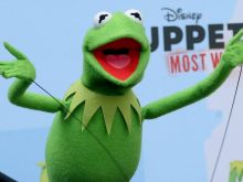 Kermit the Frog #3061789 picture (Landscape Medium)