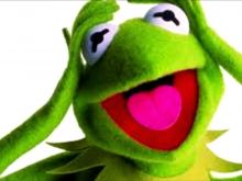 Kermit the Frog #3061791 picture (Landscape Medium)