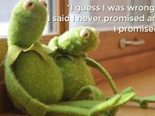 Kermit the Frog #3061800 picture (Landscape Medium)