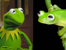 Kermit the Frog