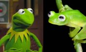 Kermit the Frog