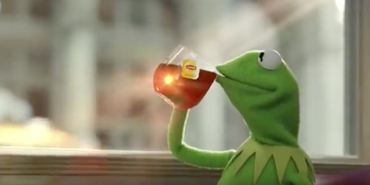 Kermit the Frog