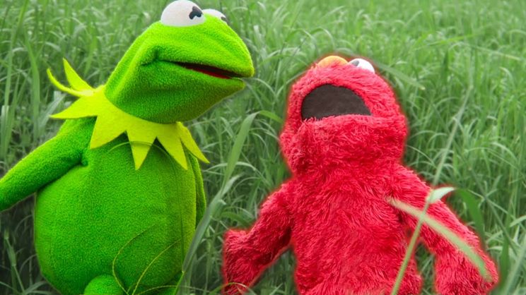 Kermit the Frog