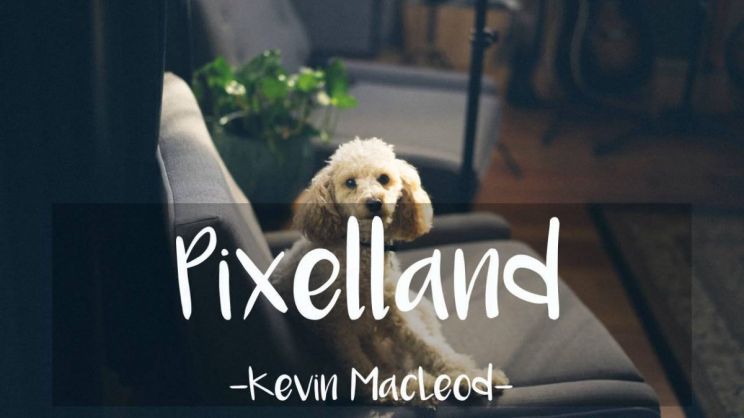Kevin MacLeod