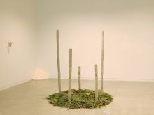 Kevin Michael Murphy