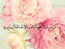 Kia Luby photo