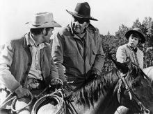 Kim Darby