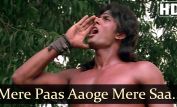 Kimi Katkar
