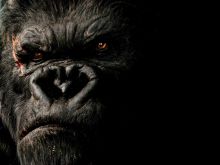 King Kong #1194911 picture (Landscape Medium)